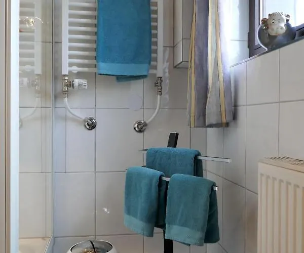 Meier-althof 公寓 *